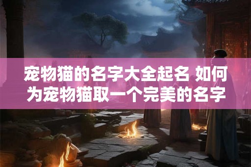宠物猫的名字大全起名 如何为宠物猫取一个完美的名字