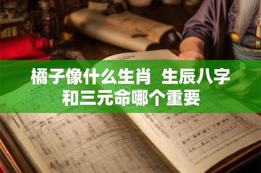橘子像什么生肖  生辰八字和三元命哪个重要