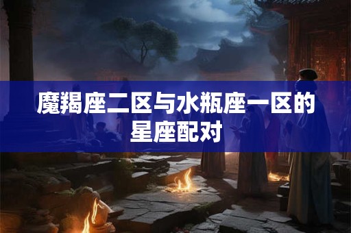 魔羯座二区与水瓶座一区的星座配对