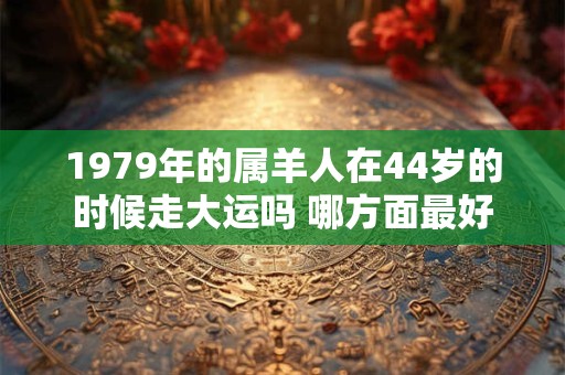 1979年的属羊人在44岁的时候走大运吗 哪方面最好