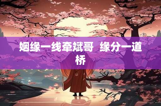 姻缘一线牵斌哥  缘分一道桥