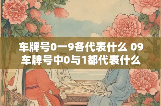 车牌号0一9各代表什么 09车牌号中0与1都代表什么