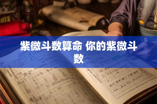 紫微斗数算命 你的紫微斗数