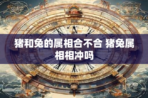 猪和兔的属相合不合 猪兔属相相冲吗