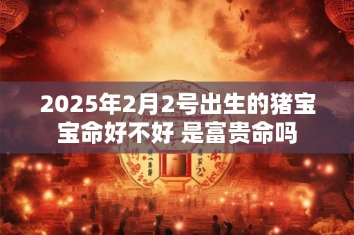 2025年2月2号出生的猪宝宝命好不好 是富贵命吗