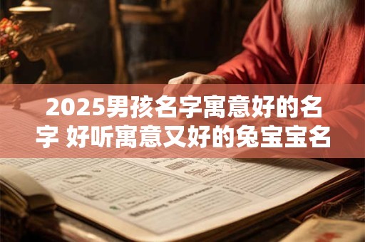 2025男孩名字寓意好的名字 好听寓意又好的兔宝宝名字