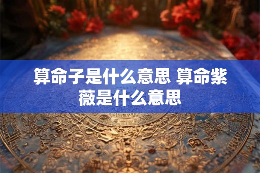 算命子是什么意思 算命紫薇是什么意思