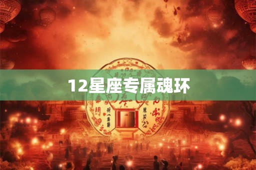 12星座专属魂环