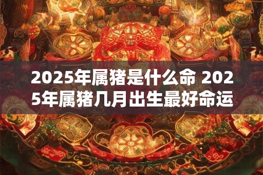 2025年属猪是什么命 2025年属猪几月出生最好命运