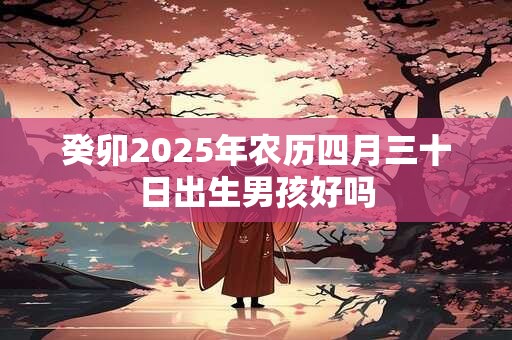 癸卯2026年农历四月三十日出生男孩好吗