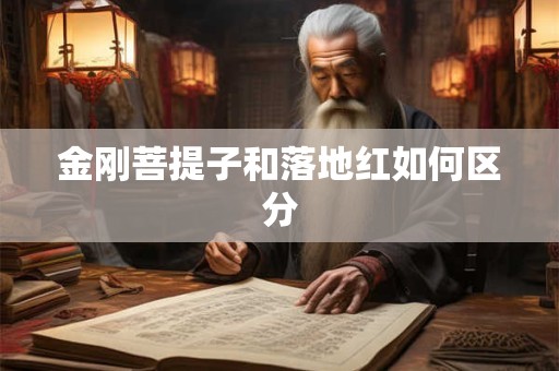 金刚菩提子和落地红如何区分