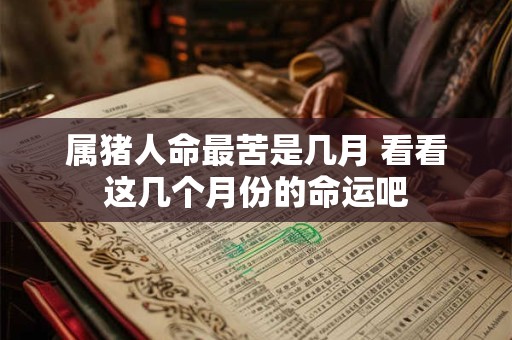 属猪人命最苦是几月 看看这几个月份的命运吧