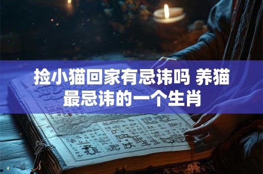 捡小猫回家有忌讳吗 养猫最忌讳的一个生肖