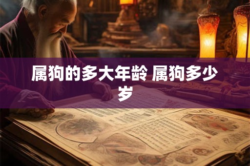 属狗的多大年龄 属狗多少岁