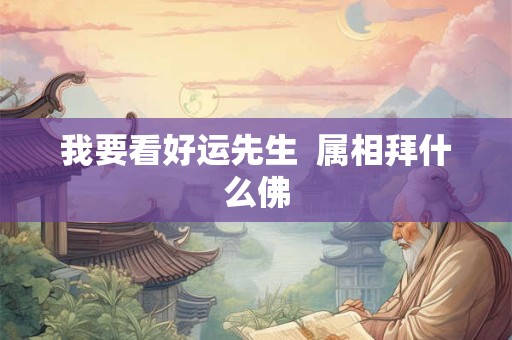 我要看好运先生  属相拜什么佛