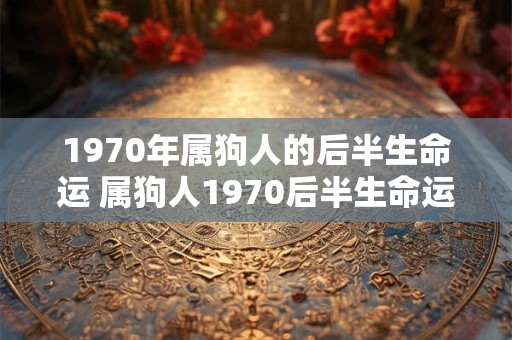 1970年属狗人的后半生命运 属狗人1970后半生命运如何