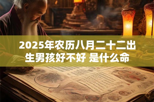 2025年农历八月二十二出生男孩好不好 是什么命