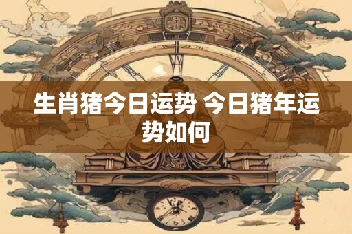 生肖猪今日运势 今日猪年运势如何