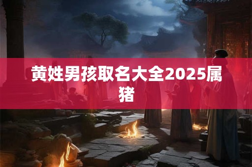 黄姓男孩取名大全2025属猪