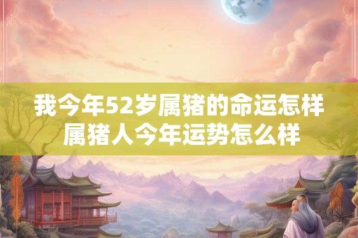 我今年52岁属猪的命运怎样 属猪人今年运势怎么样