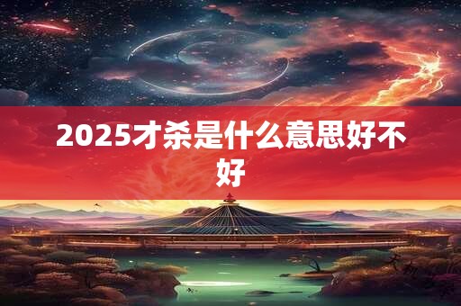 2025才杀是什么意思好不好