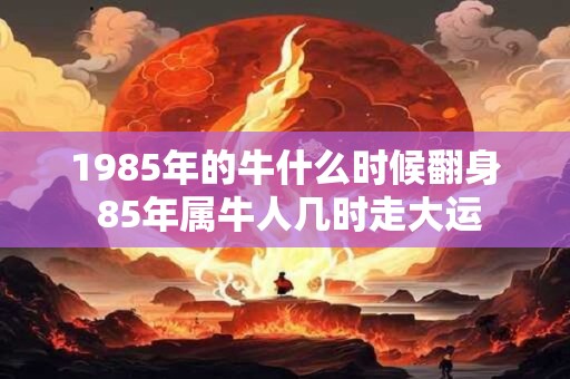 1985年的牛什么时候翻身 85年属牛人几时走大运