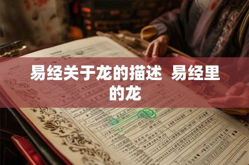 易经关于龙的描述  易经里的龙