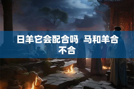 日羊它会配合吗  马和羊合不合