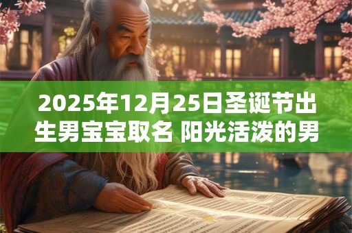 2025年12月25日圣诞节出生男宝宝取名 阳光活泼的男孩名字