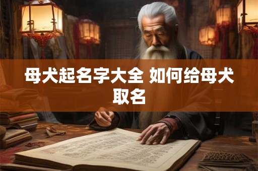 母犬起名字大全 如何给母犬取名