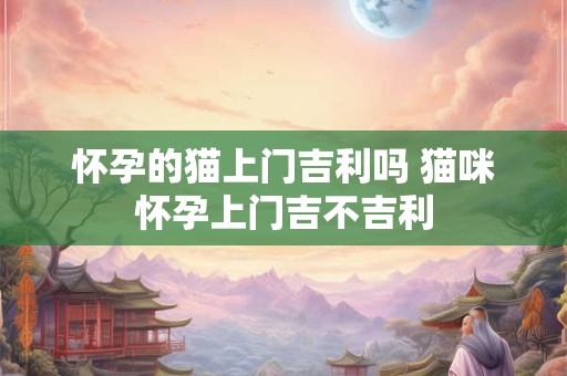 怀孕的猫上门吉利吗 猫咪怀孕上门吉不吉利