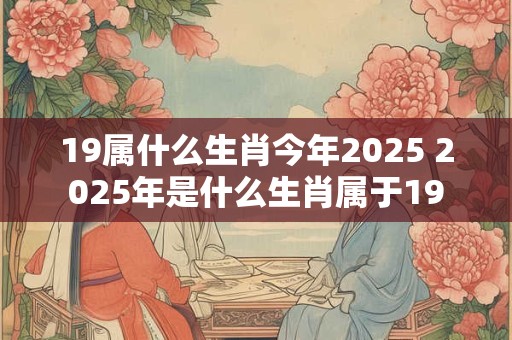 19属什么生肖今年2025 2025年是什么生肖属于19