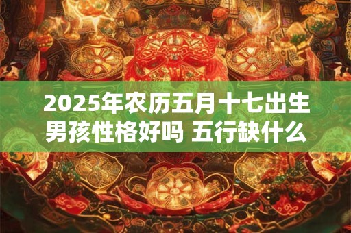 2025年农历五月十七出生男孩性格好吗 五行缺什么