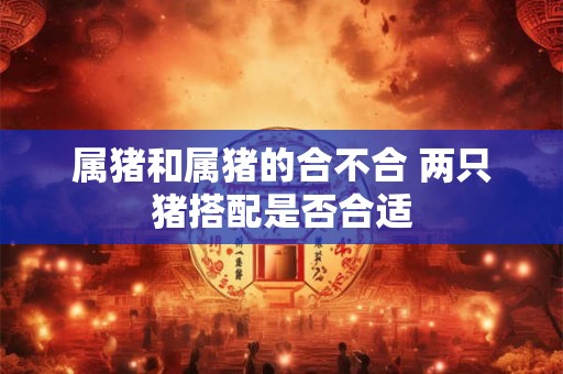 属猪和属猪的合不合 两只猪搭配是否合适