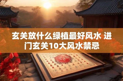 玄关放什么绿植最好风水 进门玄关10大风水禁忌