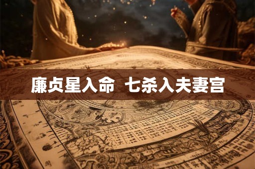 廉贞星入命  七杀入夫妻宫