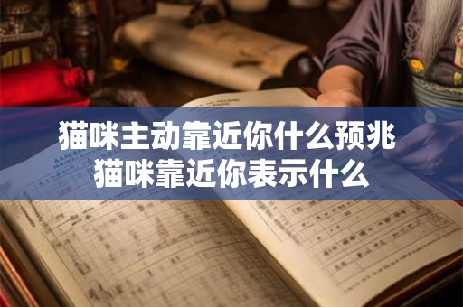 猫咪主动靠近你什么预兆 猫咪靠近你表示什么