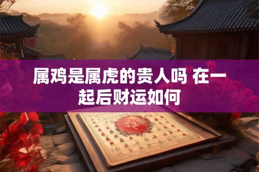 属鸡是属虎的贵人吗 在一起后财运如何