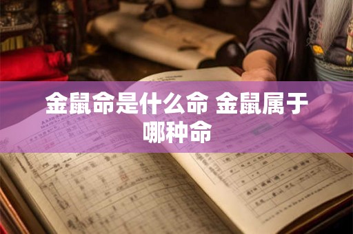 金鼠命是什么命 金鼠属于哪种命