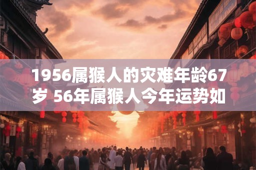 1956属猴人的灾难年龄67岁 56年属猴人今年运势如何