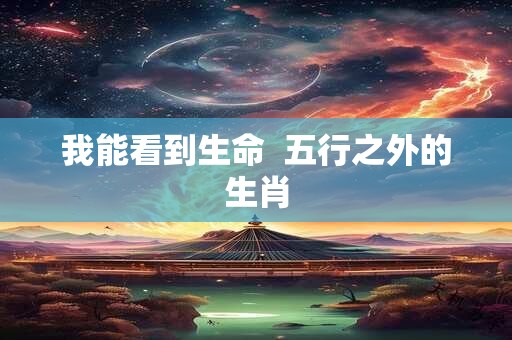 我能看到生命  五行之外的生肖