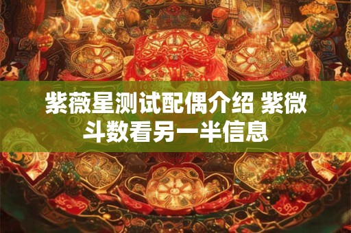 紫薇星测试配偶介绍 紫微斗数看另一半信息