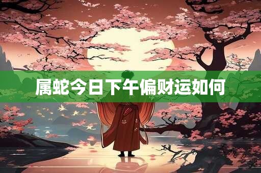 属蛇今日下午偏财运如何