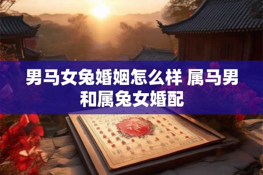 男马女兔婚姻怎么样 属马男和属兔女婚配
