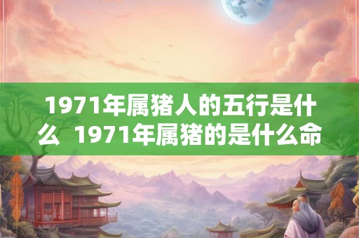 1971年属猪人的五行是什么  1971年属猪的是什么命