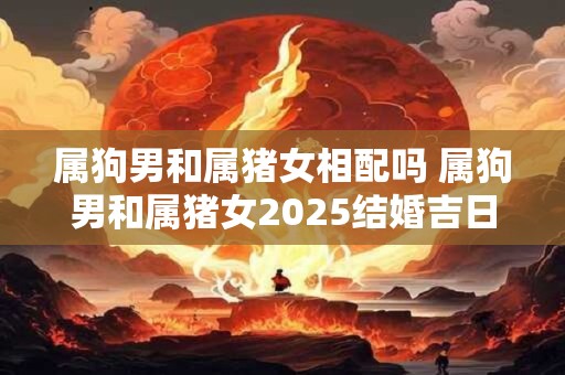 属狗男和属猪女相配吗 属狗男和属猪女2025结婚吉日