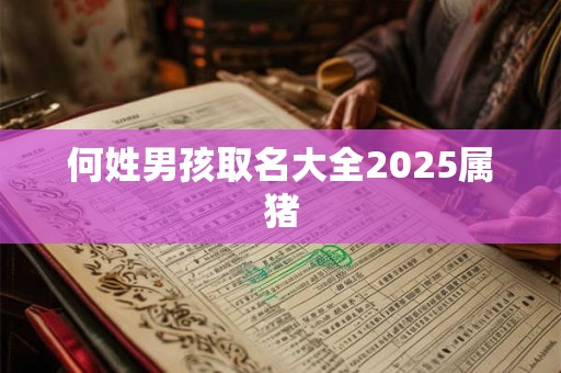 何姓男孩取名大全2025属猪