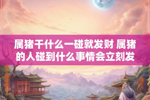 属猪干什么一碰就发财 属猪的人碰到什么事情会立刻发财