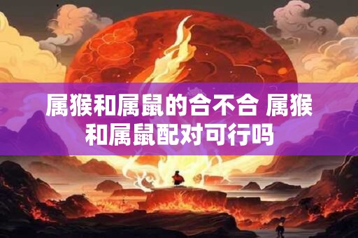 属猴和属鼠的合不合 属猴和属鼠配对可行吗