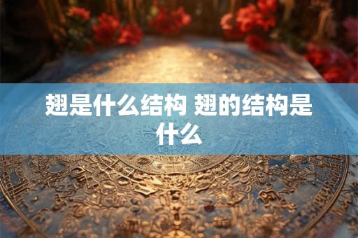 翅是什么结构 翅的结构是什么